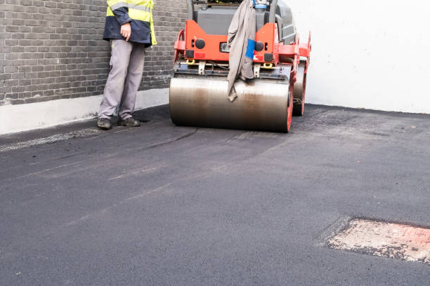 Driveway Pressure Washing in Clayton, NM